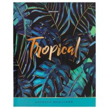  5-11  48 ., , BRAUBERG, ,  , "Tropics", 106421
