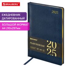   2025,  , 210297 , 4, BRAUBERG "Iguana",  , , 115737
