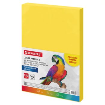 ������ ������� ������� BRAUBERG, �4, 160 �/�2, 250 �., ������, ��������, ��� ������, ����������, 116674