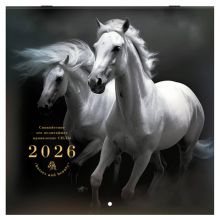    2026 ., BRAUBERG, 12 , 28,528,5 , " ", 116928