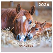    2026 ., BRAUBERG, 12 , 28,528,5 , " ", 116932