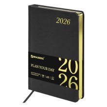 ���������� ������������ 2026 �5 138x213 ��, BRAUBERG "Iguana", ��� ����, ������, 117054