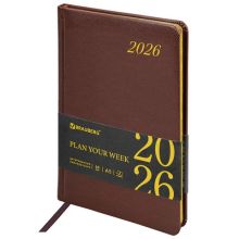 ������������ ������������ 2026, �5, 145�215 ��, BRAUBERG "Iguana", ��� ����, ����������, 117169