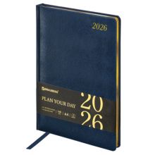   2026   210297 , 4, BRAUBERG "Iguana",  , , 117245