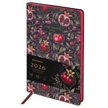   2026 5 138x213 , BRAUBERG "Vista",  , , "Pomegranate", 117449