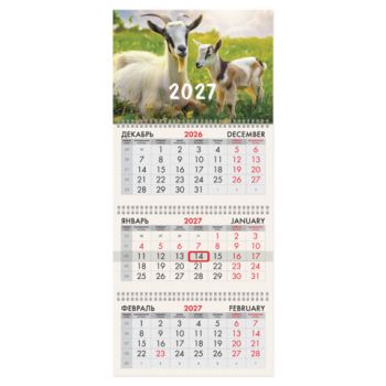 ��������� ����������� 2027 �., 3 �����, 3 ������, �������, �����, BRAUBERG, "������ 2027", 118247