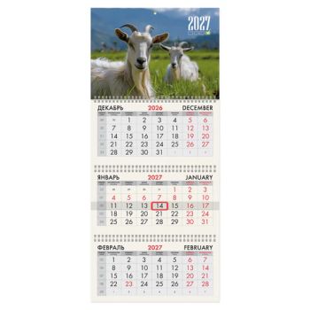��������� ����������� 2027 �., 3 �����, 3 ������, �������, �����, BRAUBERG, "��� ����", 118249