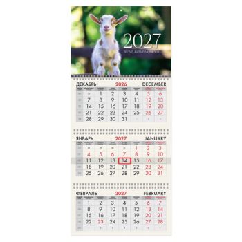 ��������� ����������� 2027 �., 3 �����, 3 ������, �������, �����, BRAUBERG, "��������", 118252