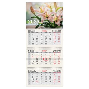 ��������� ����������� 2027 �., 3 �����, 3 ������, �������, �����, BRAUBERG, "�����", 118258