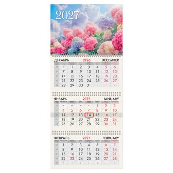 ��������� ����������� 2027 �., 3 �����, 3 ������, �������, �����, BRAUBERG, "���������", 118259