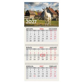 ��������� ����������� 2027 �., 3 �����, 3 ������, �������, ���������� ������, BRAUBERG, "��� ����", 118277