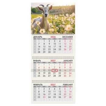 ��������� ����������� 2027 �., 3 �����, 3 ������, �������, ���������� ������, BRAUBERG, "������ ����", 118278