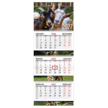 ��������� ����������� 2027 �., 3 �����, 3 ������, �������, ���������� ������, BRAUBERG EXTRA, "������ ����", 118299