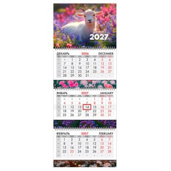 ��������� ����������� 2027 �., 3 �����, 3 ������, �������, ���������� ������, BRAUBERG EXTRA, "������ 2027", 118300