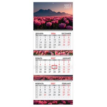 ��������� ����������� 2027 �., 3 �����, 3 ������, �������, ���������� ������, BRAUBERG EXTRA, "������ �����", 118314