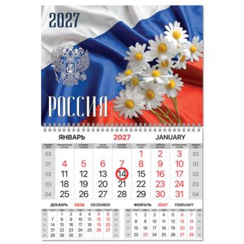 ��������� ����������� 2027 �., 1 ����, 1 �������, ��������� ������, ���������� ������, BRAUBERG, "������", 118339