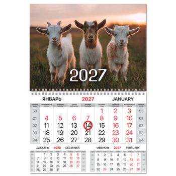 ��������� ����������� 2027 �., 1 ����, 1 �������, ��������� ������, ���������� ������, BRAUBERG, "������ ����", 118340