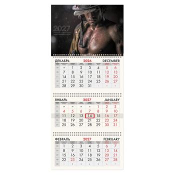 ��������� ����������� �� 2027 �., 3 �����, 3 ������, �������, ���������� ������, BRAUBERG FUN, "��������", 118408