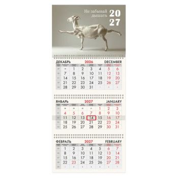 ��������� ����������� �� 2027 �., 3 �����, 3 ������, �������, ���������� ������, BRAUBERG FUN, "����", 118441
