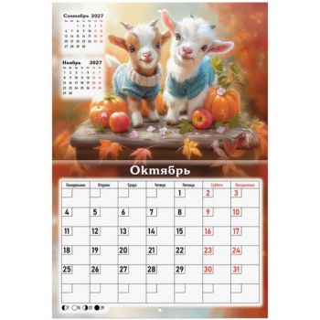 ���������-������ ��������� ���������� �� 2027 �., 12 ������, 29,5�42,6 ��, BRAUBERG, "��� ����", 118446