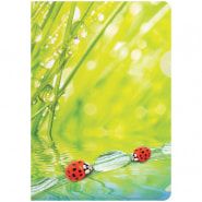 - Berlingo "Ladybird", 4, 180, 