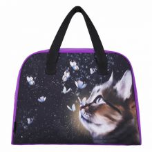    BRAUBERG  , 35x25x15 , "Dream cat", 271592