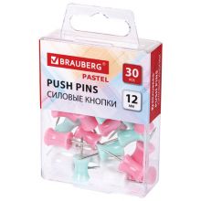  - BRAUBERG PASTEL,  , 30 , 12 , 272756