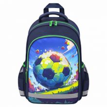   SCHOOL, 1 , 3 , "Football match", 38x2814 , 273171