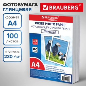  , 4, 230 /2, , 100 , , BRAUBERG ORIGINAL 364421