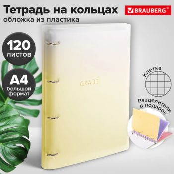 ������� �� ������� ������� 305�235 �� �4, 120 �., �������, � �������������, BRAUBERG, ������, 404624