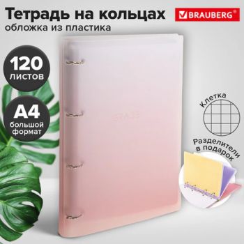 ������� �� ������� ������� 305�235 �� �4, 120 �., �������, � �������������, BRAUBERG, �������, 404626