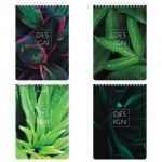 ������� �5 (146�206 ��), 80 �., �������, ������, ������� ��������, ������, BRAUBERG, "��������", 114388