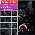    2026 ., BRAUBERG, 12 , 28,528,5 , "Black esthetic", 116927