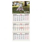 ��������� ����������� 2027 �., 3 �����, 3 ������, �������, ���������� ������, BRAUBERG, "�������", 118276