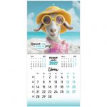 ��������� ��������� ���������� 2027 �., BRAUBERG, 12 ������, 21,4�42,8 ��, ����, "Funny goats", 118432