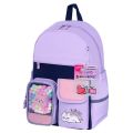  BRAUBERG PASTEL    , "Lazy cat", , 402914 , 271422