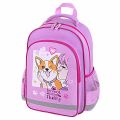   SCHOOL, 1 , 3 , "Fluffy akita", 38x2814 , 272084